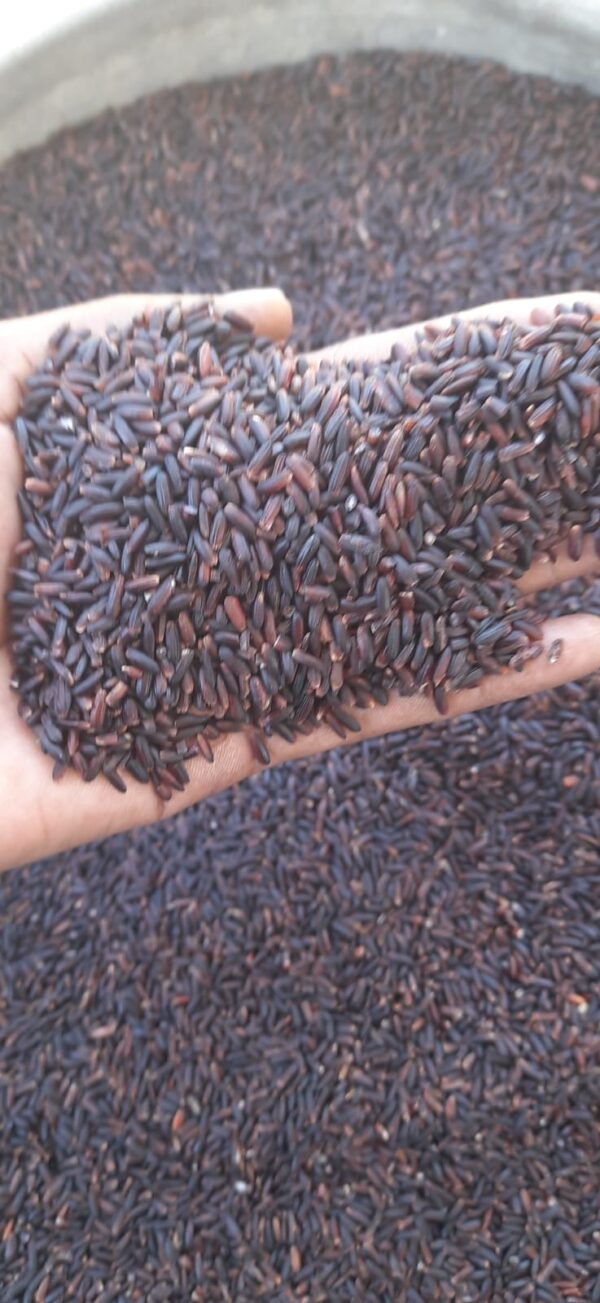 Vedai organic Karuppu kavuni rice