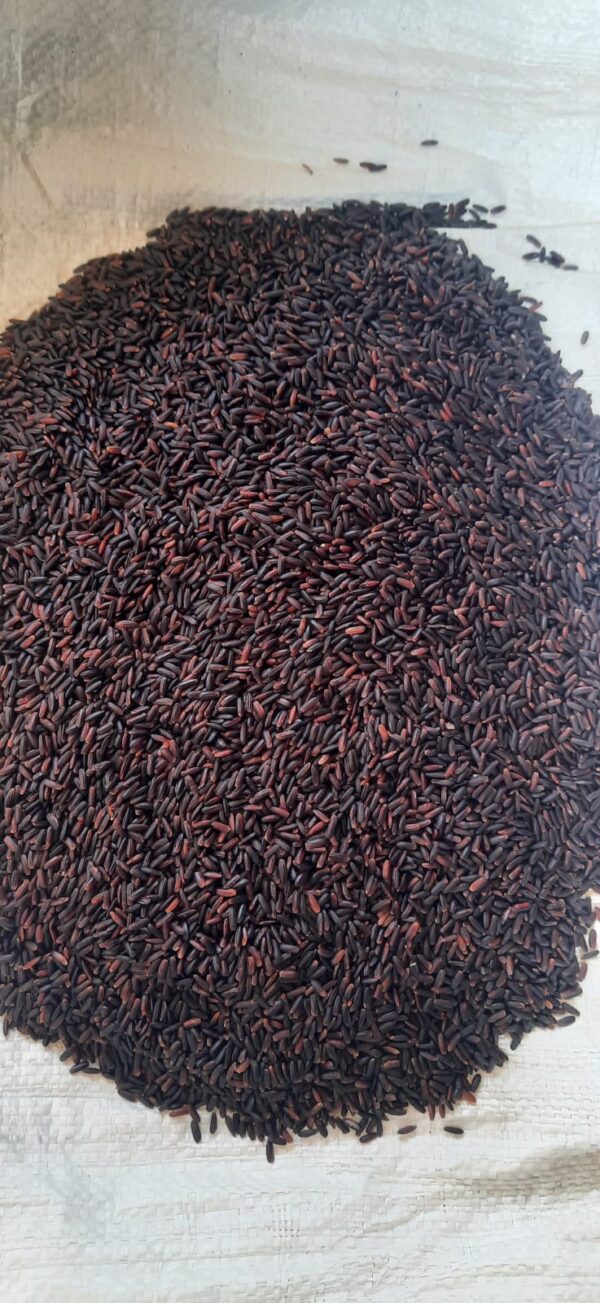 Vedai organic Karuppu kavuni rice - Image 2