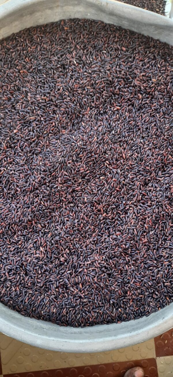 Vedai organic Karuppu kavuni rice - Image 3