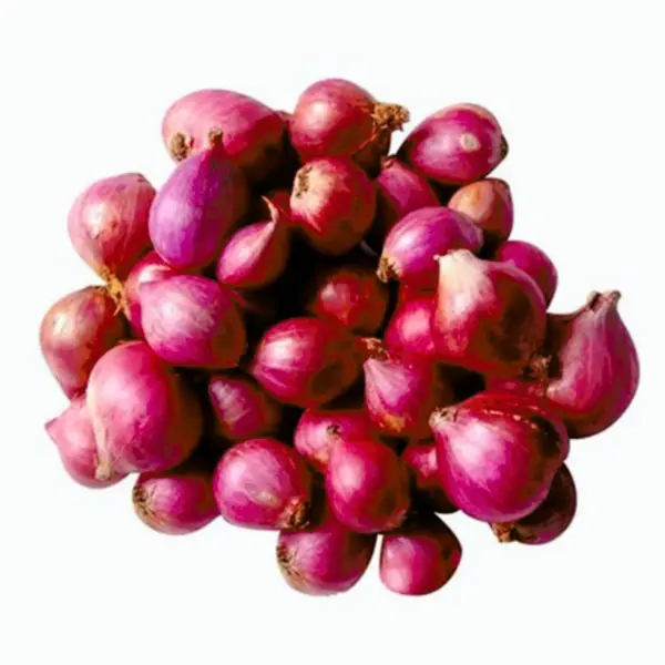 Small Onion(shollots)