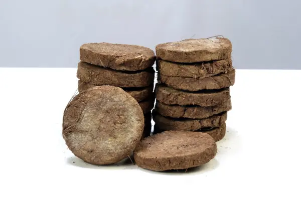 Cow Dung Cakes