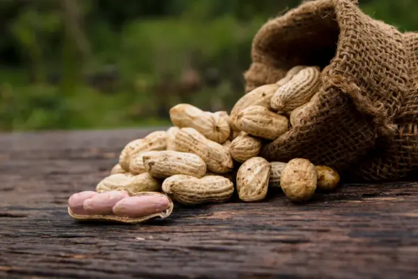 Ground Nuts