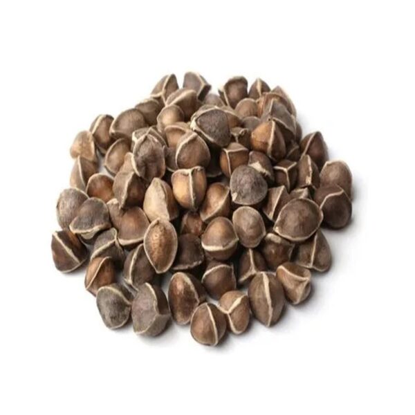 Moringa Seed