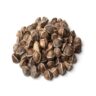 Moringa Seed