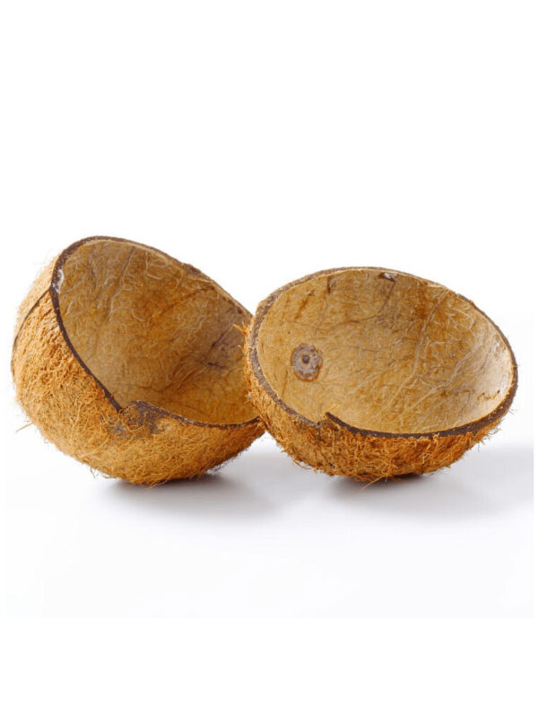 Coconut Shell
