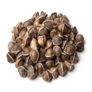 Moringa Seed